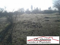 /album/en-venta-17-000-000-5000-m2-camino-principal-a-30-minutos-de-melipilla-colegio-5-minutos-los-maitenes-camino-rapel-k-21/a11778909-1628199974090501-1690697166-o-copia-jpg/